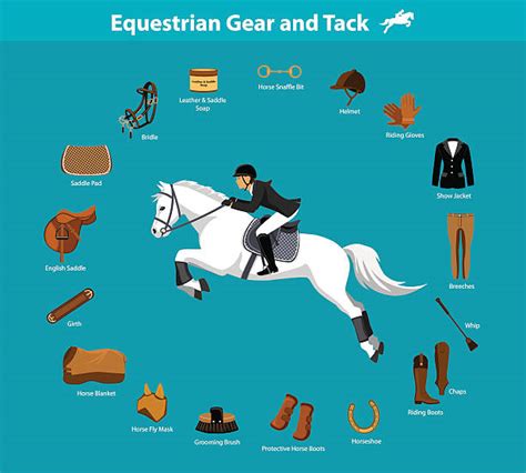 83700 Horse Riding Equipment Stock Photos Pictures And Royalty Free