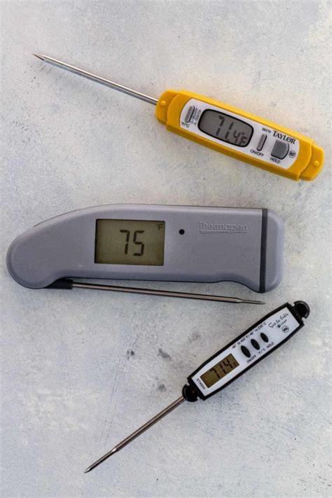 Easy And Accurate The Best Instant Read Meat Thermometer