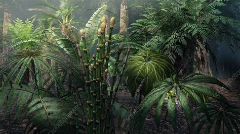 Jurassic Forest Plants Illustration Stock Image C0394655