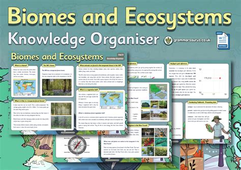 Year 5 Geography Fieldwork Biomes Knowledge Organiser Grammarsaurus