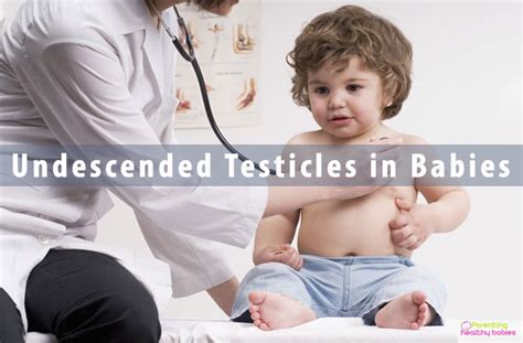 Undescended Testicles In Babies Causes Risk Treatment And Recovery