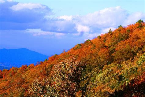 Fall Mountainside Beauty Photograph By Beth Andersen Fine Art America
