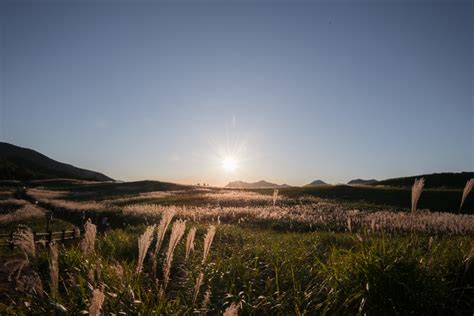 曽爾高原の秋ハイキングと幻想的な夕日を楽しむ1日 東奈良名張へようこそ