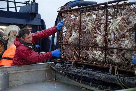 It portrays the real life events aboard fishing vessels in the bering sea during the alaskan king crab and c. Cape Caution Photos (2014) | Deadliest catch, Photo, Cape