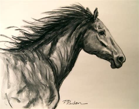 Abstract Horses Charcoal Sketch Of A Wild Horse By Theresa Paden