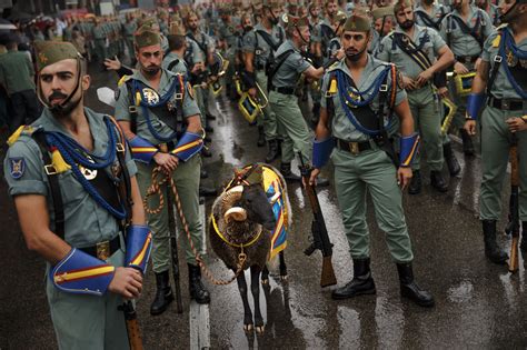 So The Spanish Army Has A War Goat Rpics