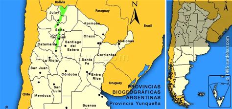 Amazonian Domain Of Argentina Climate Flora And Fauna • El Sur Del Sur