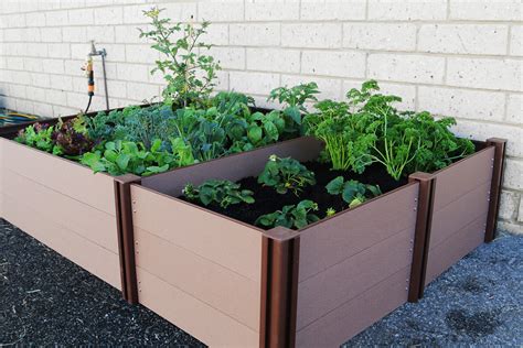 Grow Your Own Vegetables With A Raised Garden Bed Holman