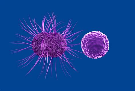Chlamydia And Gonorrhea Similarities And Differences