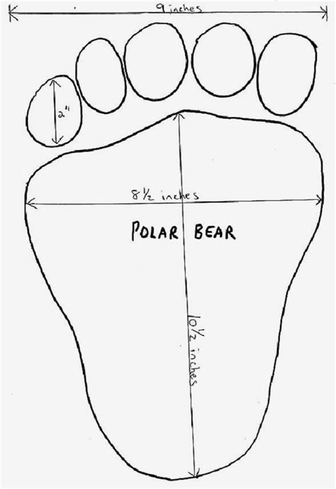 Pin By Sonja Horn On Arctic Art In 2023 Polar Bears Preschool Polar