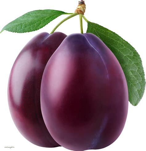 Free Png Plums Transparent Plumspng Images Pluspng