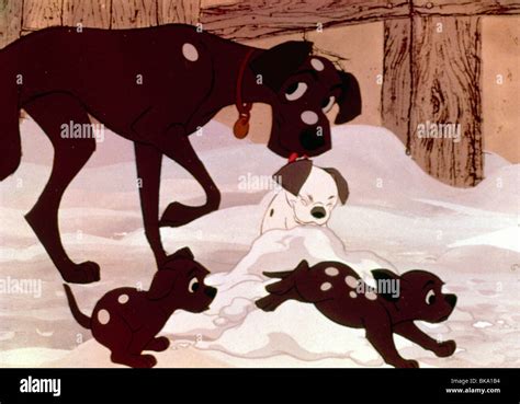 101 Dalmatians Ani 1961 Animated Credit Disney Ood 039 Stock Photo