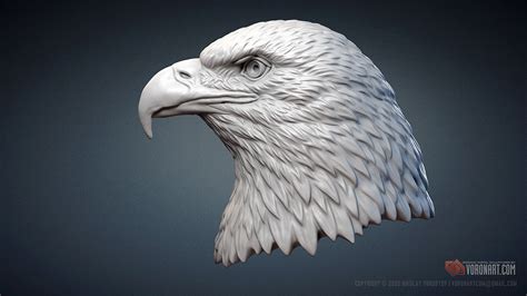 American Bald Eagle Bird Sculpture 3d Printable Files Stl Obj Behance