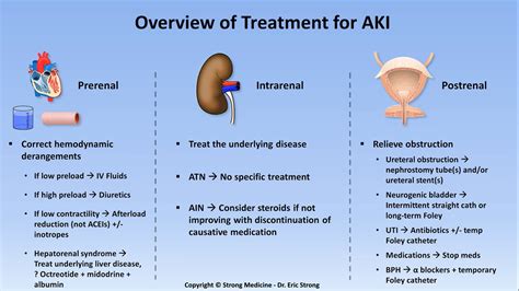 Acute Kidney Injury Aki Management Principles Prerenal Grepmed