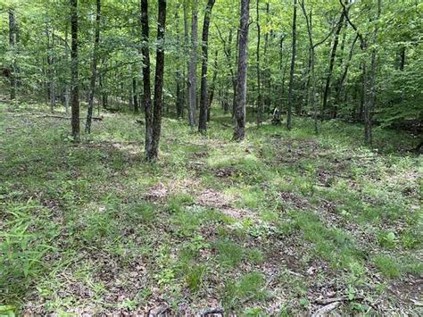 10 Acres Of Recreational Land With Home For Sale In Ozone Arkansas
