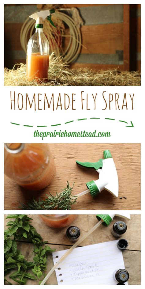 We did not find results for: Homemade Fly Spray Recipe | The Prairie Homestead #bestpestcontrolproductforhome ...