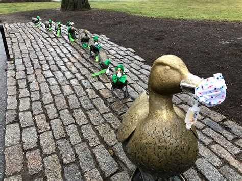Someone Dressed Bostons Duckling Statues In Solidarity With Saturdays