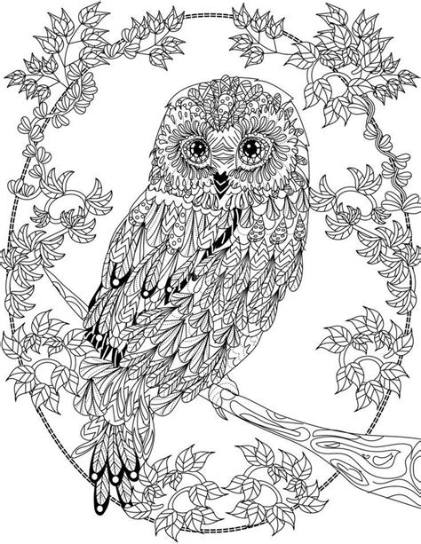 261 Best Adult Coloring Pages Images On Pinterest Owls