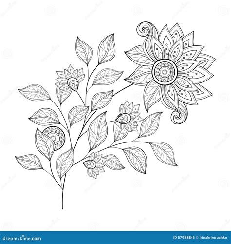 Vector Beautiful Monochrome Contour Flower Stock Vector Illustration