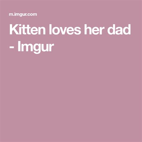 Kitten Loves Her Dad Imgur Kitten Love Love Her Dads