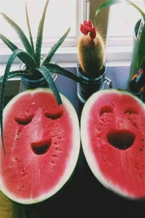 17 Best Images About Sweet Watermelon Summer On Pinterest