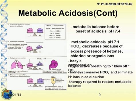 Renal Regulation Of Metabolic Acidosis And Alkalosis