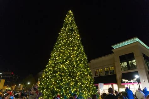 Weekend Best Bets Tree Lightings Raleigh Christmas Parade