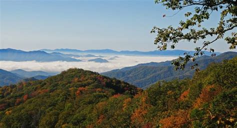 Fog Shrouding The Valleys Of North Carolina In Great Smoky Mountains