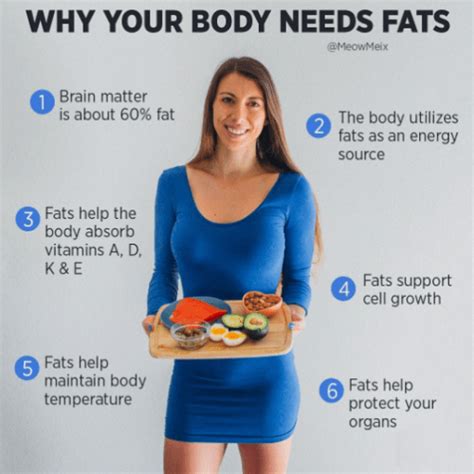 The Lowdown On Dietary Fat Why Your Body Needs It Meowmeix