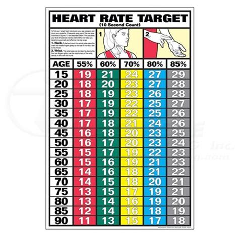 10 Second Heart Rate Fitness Chart 0chf15b Full Circle