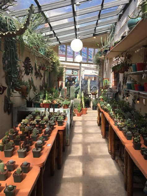 Maybe you would like to learn more about one of these? Cute little shop in Manitou Springs : succulents