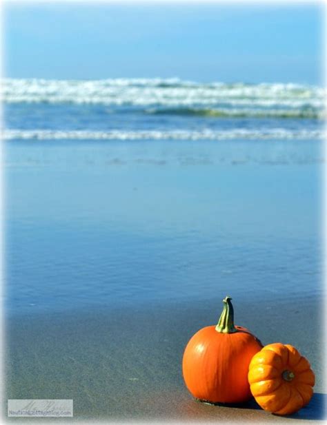 The Beach Is Still Beautiful In Autumn And Makes A Clear Setting To