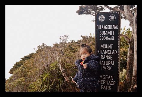 Mt Dulang Dulang Kitanglad Range 2938 Masl Love Eat Wander