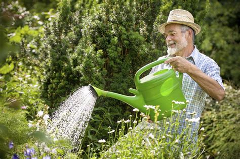 Leaving grass a little taller helps to retain water and encourages a deeper root growth. 8 Ultra-simple Steps to Protect Your Garden During a Heat Wave