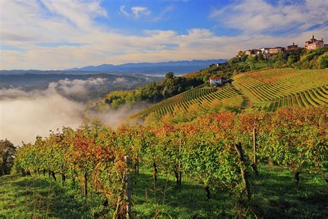 Italy Piedmont Cuneo District Strada Del Tartufo Bianco Colline Del