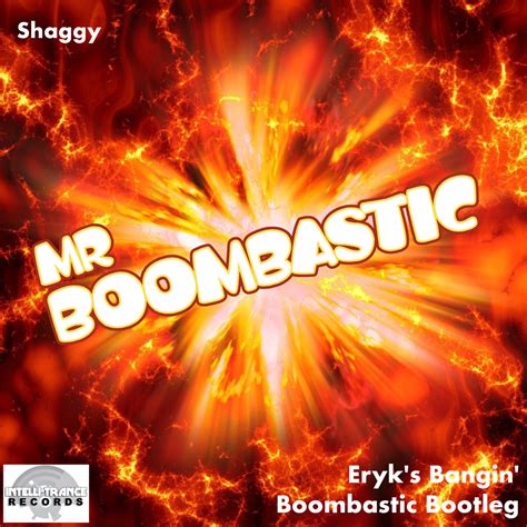 Mr Boombastic Eryks Bangin Boombastic Bootleg Free Download