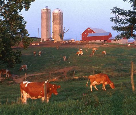 This was a very wide shot of the swelling crowd, the radios have to be left on in order to function. The Environmental Impact of Eating Beef and Dairy Products ...