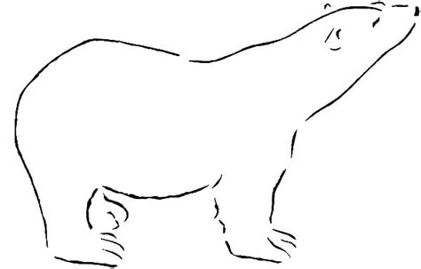 20 Outline Of Polar Bear Free Coloring Pages