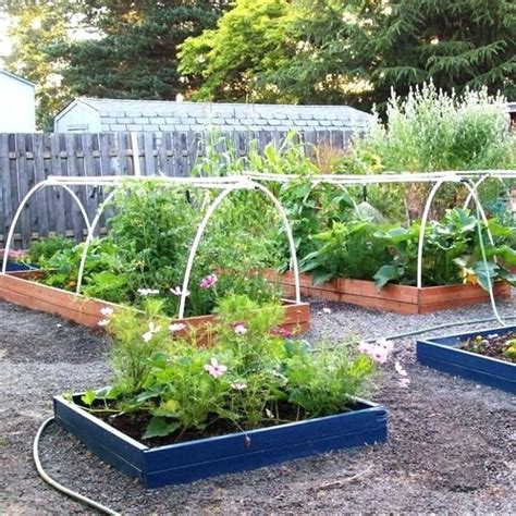 Small Veg Garden Ideas Small Backyard Vegetable Garden Ideas Designs