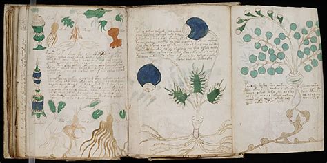 Erstmals Faksimiles Des Rätselhaften Voynich Manuskripts Zu Haben