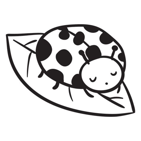 Cute Ladybug Resting Leaf Outline Png And Svg Design For T Shirts