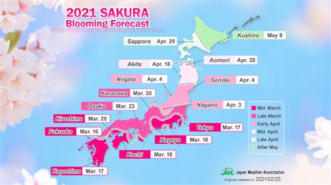When Is The Earliest Bloom Date For Your Area Sakura Forecast For 2021