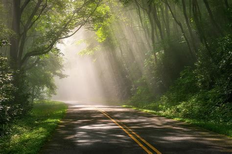 Foggy Forest Road Light Rays Scenic Blue Ridge Parkway North Carolina