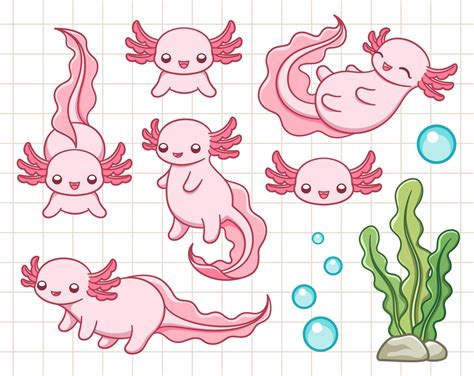 Axolotl Clipart Cute Axolotl Clip Art Printable Stickers For