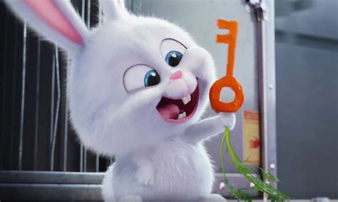Snowball Cute En Fluffy Secret Life Of Pets Pets Movie Cute Cartoon