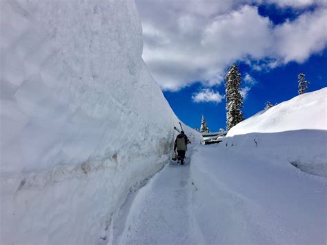 Tahoe Snow Totals And Photos From Today Snowbrains 20a