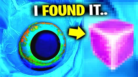 I Glitched In The Eye And Found This Fortnite Youtube