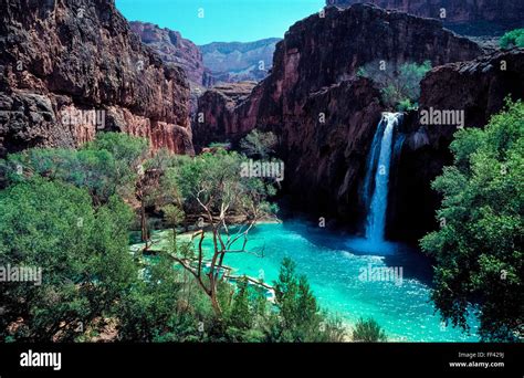 A Beautiful And Refreshing Turquoise Pool At The Base Of Havasu Falls