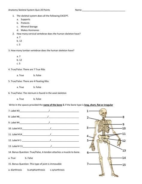 Visit kenhub for more skeletal system quizzes. Anatomy Skeleton Quiz 20 Points Name