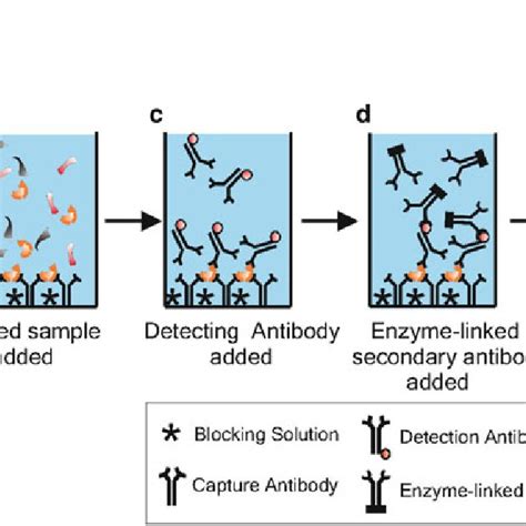 Pdf Use Of Meso Scale Discovery To Examine Cytokine Content In